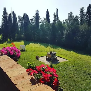  Bed & Breakfast Niccoli